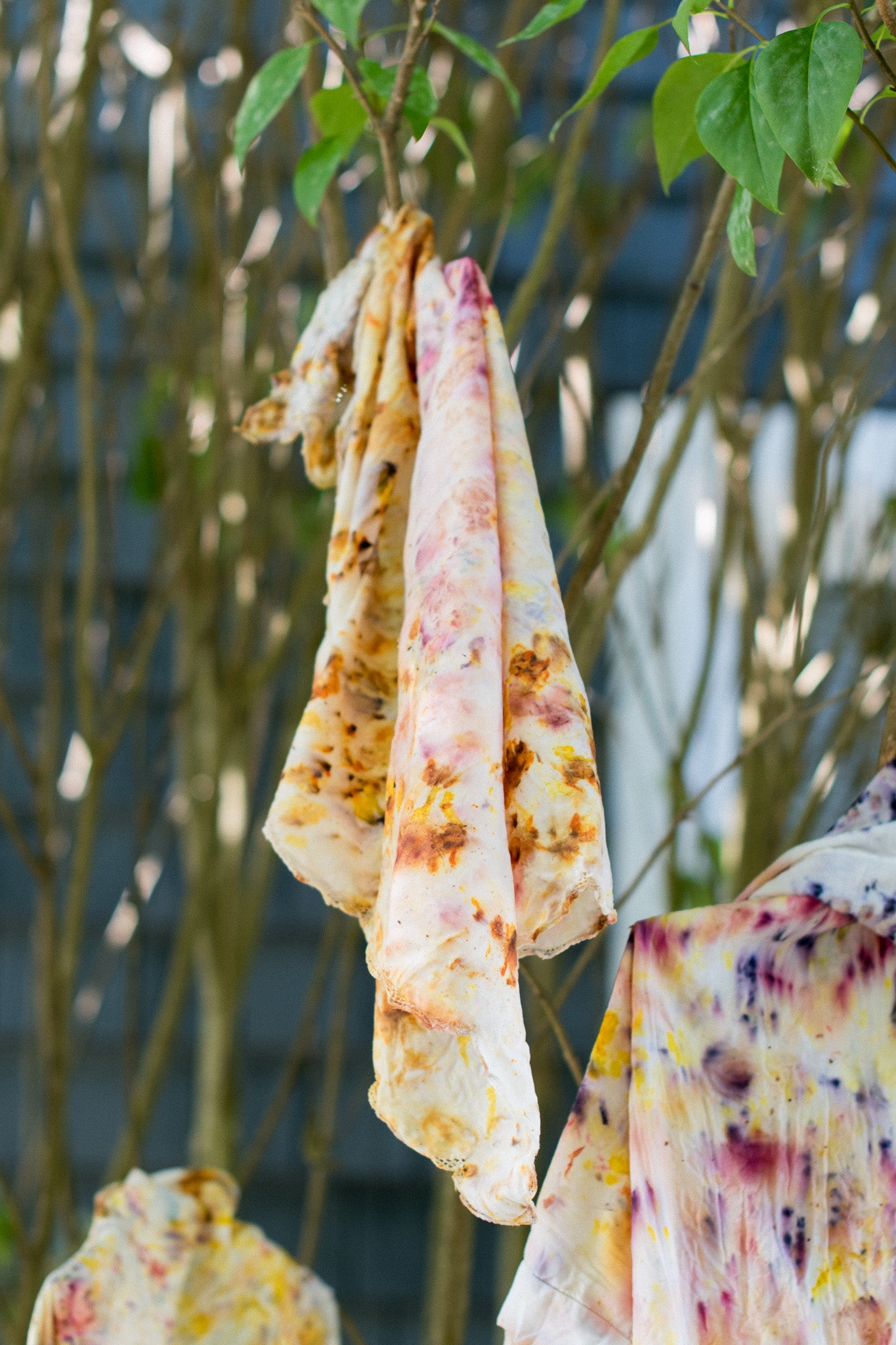 Botanical Dyed Silk Scarves